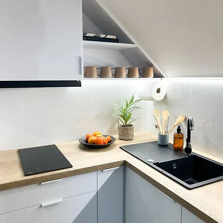 Apartamento Novo Pawlowice (Pszczyna)