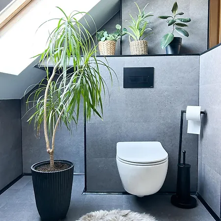 Novo Apartamento Pawlowice (Pszczyna)